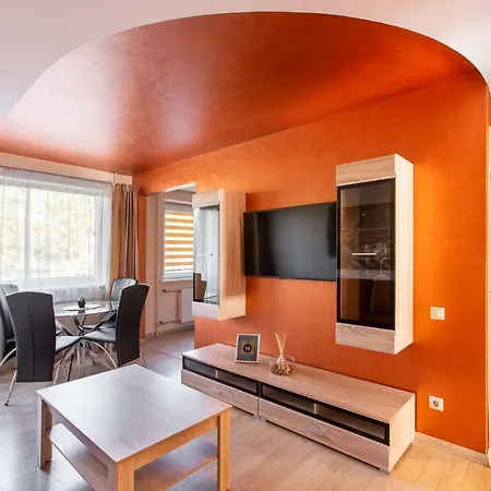 Audros Apartamentai Appartamento Kaunas
